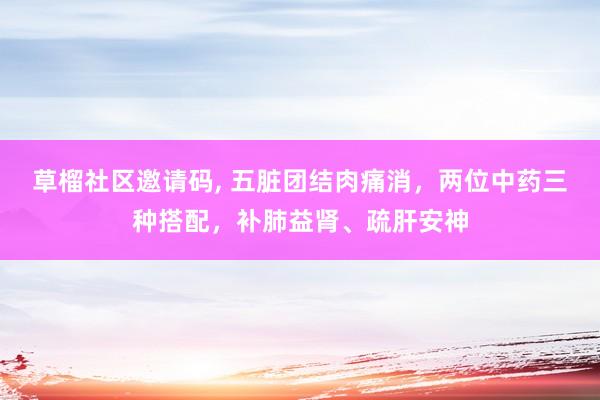 草榴社区邀请码， 五脏团结肉痛消，两位中药三种搭配，补肺益肾、疏肝安神