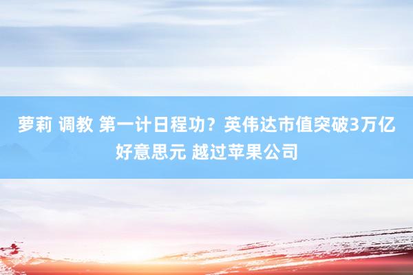 萝莉 调教 第一计日程功？英伟达市值突破3万亿好意思元 越过苹果公司