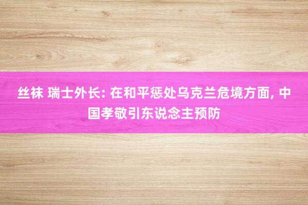 丝袜 瑞士外长: 在和平惩处乌克兰危境方面, 中国孝敬引东说念主预防