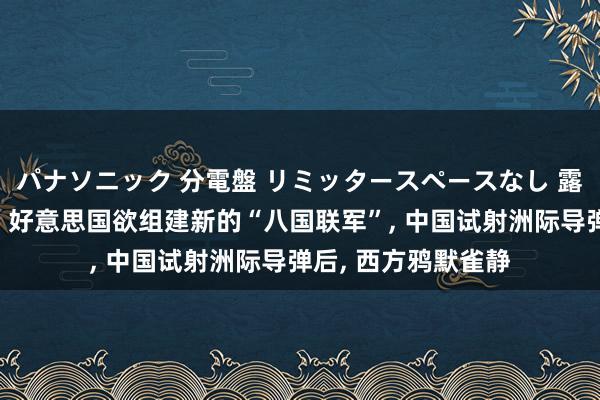 パナソニック 分電盤 リミッタースペースなし 露出・半埋込両用形 好意思国欲组建新的“八国联军”, 中国试射洲际导弹后, 西方鸦默雀静