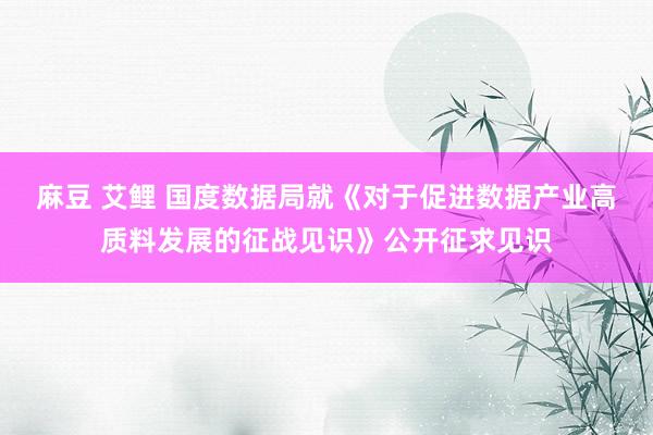 麻豆 艾鲤 国度数据局就《对于促进数据产业高质料发展的征战见识》公开征求见识