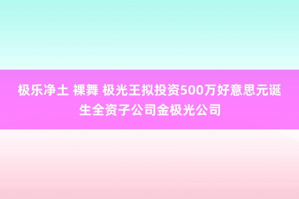 极乐净土 裸舞 极光王拟投资500万好意思元诞生全资子公司金极光公司