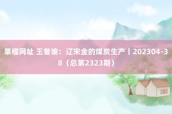 草榴网址 王曾瑜：辽宋金的煤炭生产丨202304-38（总第2323期）