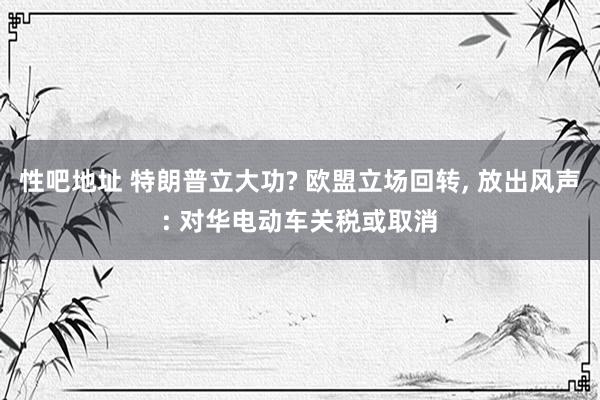性吧地址 特朗普立大功? 欧盟立场回转， 放出风声: 对华电动车关税或取消