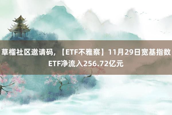 草榴社区邀请码， 【ETF不雅察】11月29日宽基指数ETF净流入256.72亿元