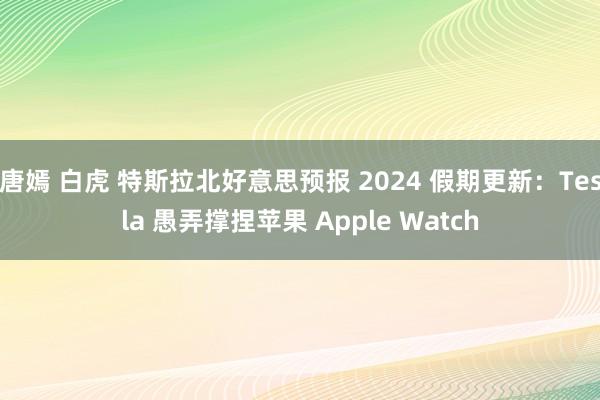 唐嫣 白虎 特斯拉北好意思预报 2024 假期更新：Tesla 愚弄撑捏苹果 Apple Watch