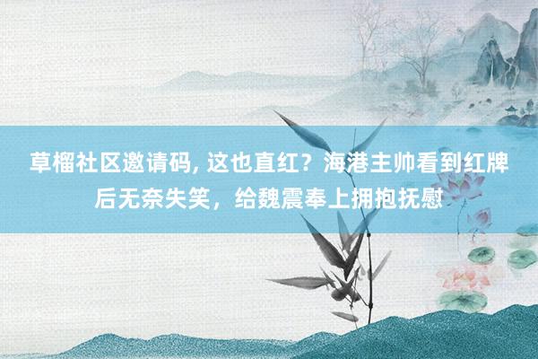 草榴社区邀请码， 这也直红？海港主帅看到红牌后无奈失笑，给魏震奉上拥抱抚慰