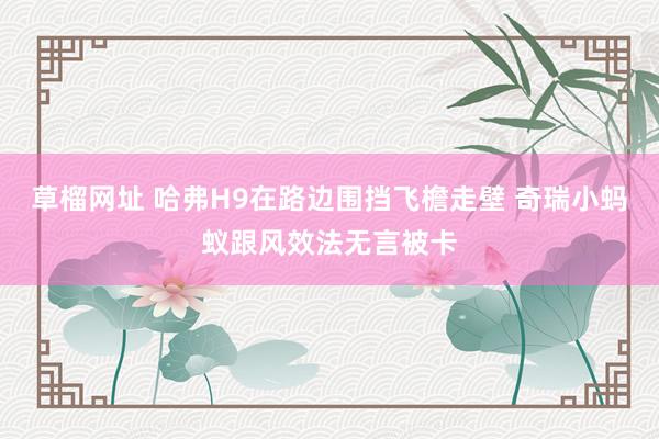 草榴网址 哈弗H9在路边围挡飞檐走壁 奇瑞小蚂蚁跟风效法无言被卡
