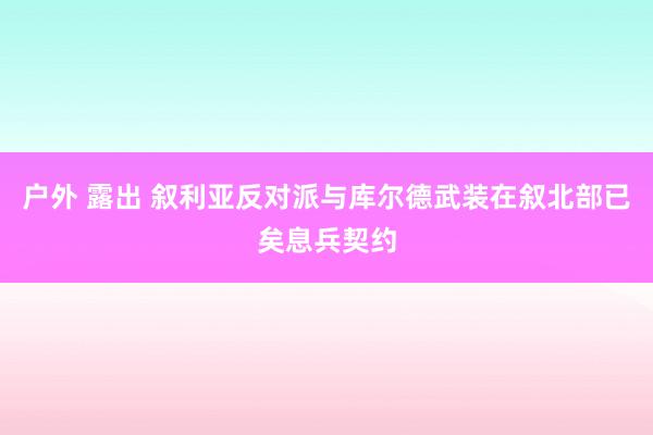户外 露出 叙利亚反对派与库尔德武装在叙北部已矣息兵契约
