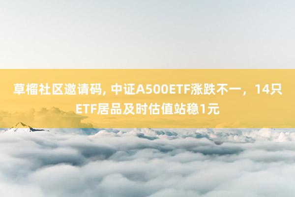 草榴社区邀请码， 中证A500ETF涨跌不一，14只ETF居品及时估值站稳1元