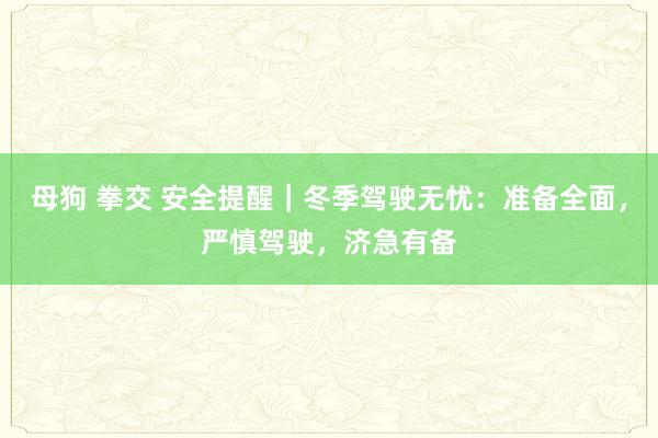 母狗 拳交 安全提醒｜冬季驾驶无忧：准备全面，严慎驾驶，济急有备