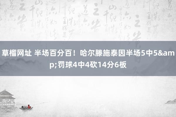 草榴网址 半场百分百！哈尔滕施泰因半场5中5&罚球4中4砍14分6板