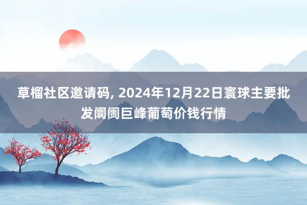 草榴社区邀请码， 2024年12月22日寰球主要批发阛阓巨峰葡萄价钱行情