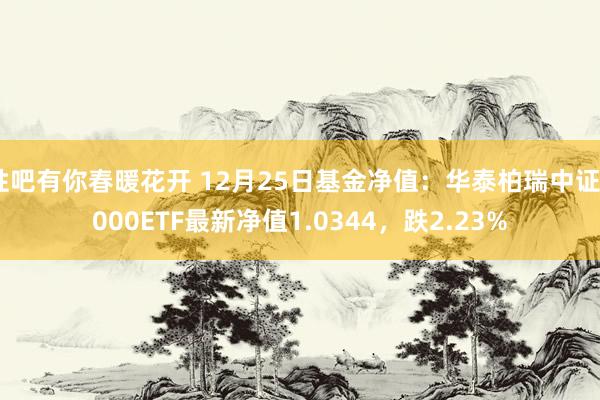 性吧有你春暖花开 12月25日基金净值：华泰柏瑞中证2000ETF最新净值1.0344，跌2.23%