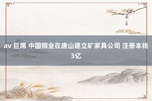av 巨屌 中国铜业在唐山建立矿家具公司 注册本钱3亿
