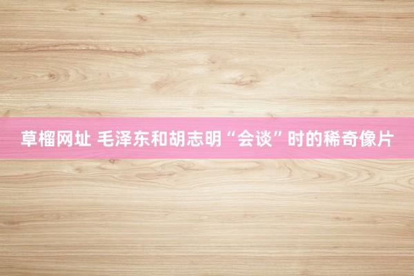 草榴网址 毛泽东和胡志明“会谈”时的稀奇像片