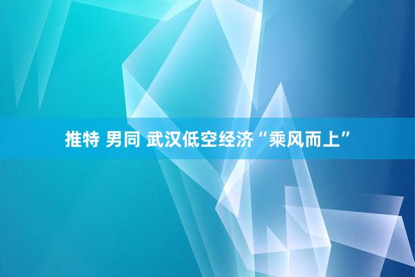 推特 男同 武汉低空经济“乘风而上”