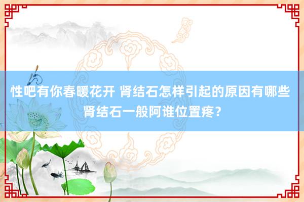 性吧有你春暖花开 肾结石怎样引起的原因有哪些 肾结石一般阿谁位置疼？