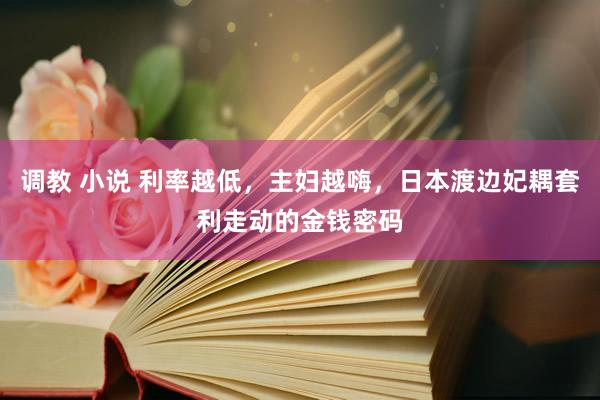 调教 小说 利率越低，主妇越嗨，日本渡边妃耦套利走动的金钱密码