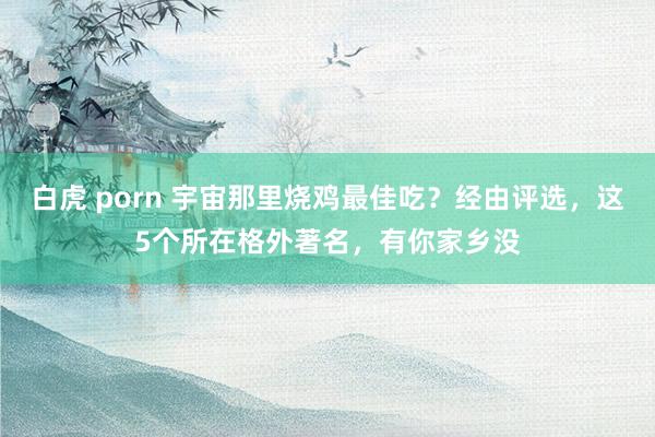 白虎 porn 宇宙那里烧鸡最佳吃？经由评选，这5个所在格外著名，有你家乡没