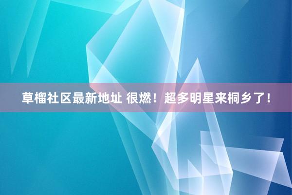 草榴社区最新地址 很燃！超多明星来桐乡了！