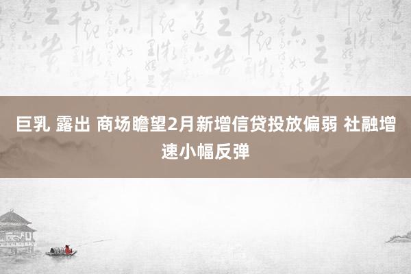 巨乳 露出 商场瞻望2月新增信贷投放偏弱 社融增速小幅反弹
