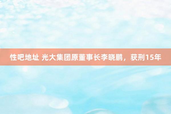 性吧地址 光大集团原董事长李晓鹏，获刑15年