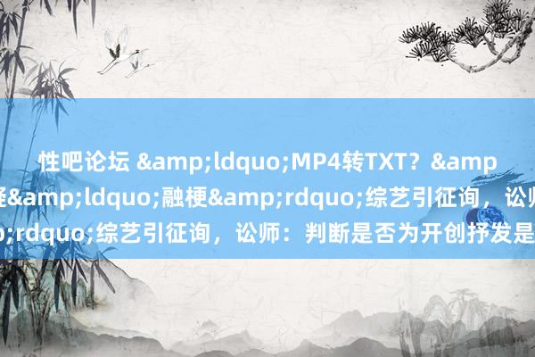 性吧论坛 &ldquo;MP4转TXT？&rdquo;收集演义被质疑&ldquo;融梗&rdquo;综艺引征询，讼师：判断是否为开创抒发是难点