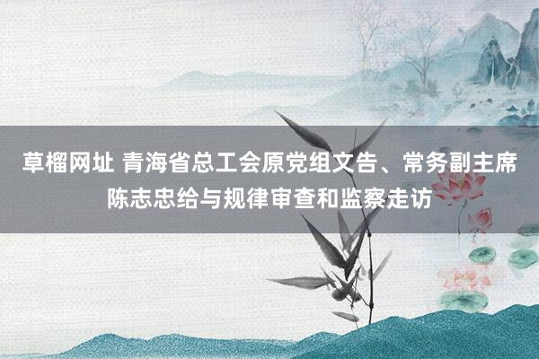 草榴网址 青海省总工会原党组文告、常务副主席陈志忠给与规律审查和监察走访