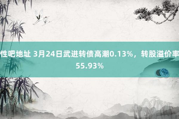 性吧地址 3月24日武进转债高潮0.13%，转股溢价率55.93%