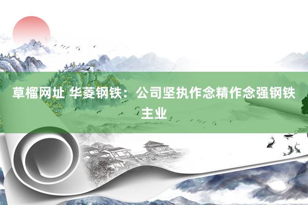 草榴网址 华菱钢铁：公司坚执作念精作念强钢铁主业