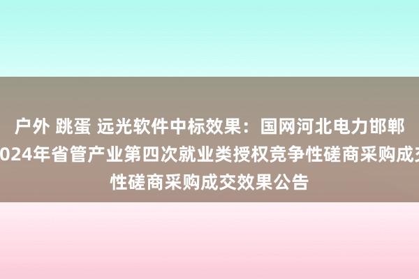 户外 跳蛋 远光软件中标效果：国网河北电力邯郸供电公司2024年省管产业第四次就业类授权竞争性磋商采购成交效果公告