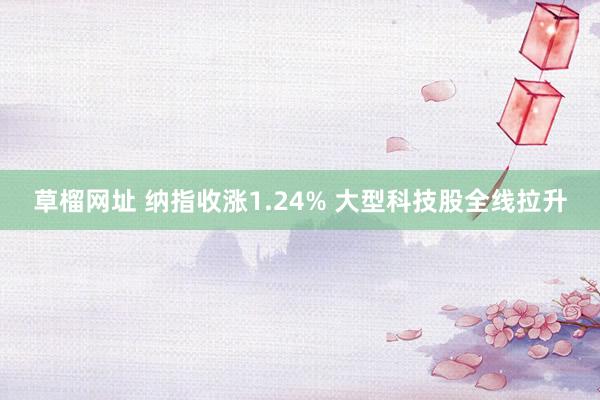 草榴网址 纳指收涨1.24% 大型科技股全线拉升