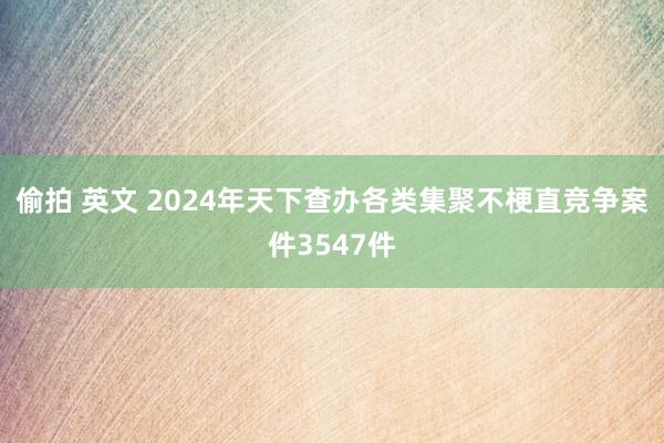偷拍 英文 2024年天下查办各类集聚不梗直竞争案件3547件