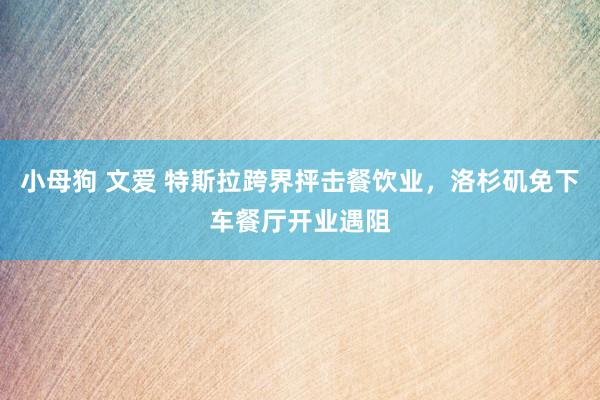 小母狗 文爱 特斯拉跨界抨击餐饮业，洛杉矶免下车餐厅开业遇阻