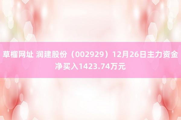 草榴网址 润建股份（002929）12月26日主力资金净买入1423.74万元