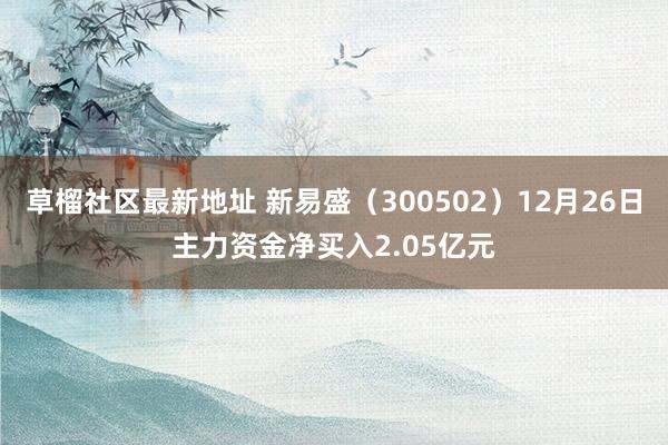 草榴社区最新地址 新易盛（300502）12月26日主力资金净买入2.05亿元