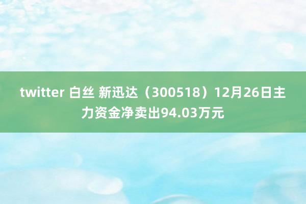 twitter 白丝 新迅达（300518）12月26日主力资金净卖出94.03万元