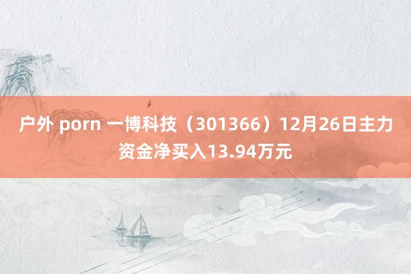 户外 porn 一博科技（301366）12月26日主力资金净买入13.94万元