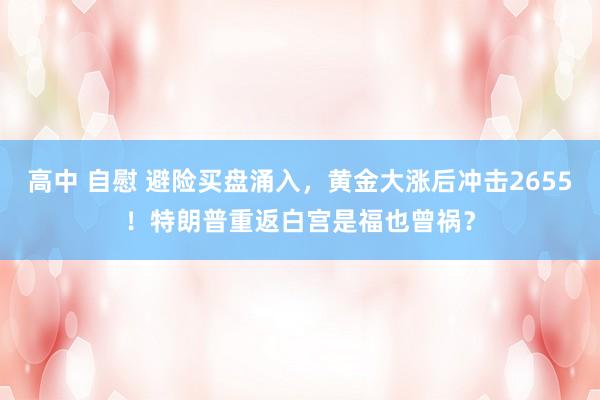 高中 自慰 避险买盘涌入，黄金大涨后冲击2655！特朗普重返白宫是福也曾祸？
