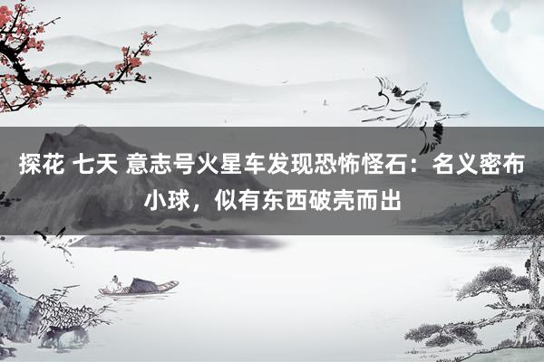 探花 七天 意志号火星车发现恐怖怪石：名义密布小球，似有东西破壳而出