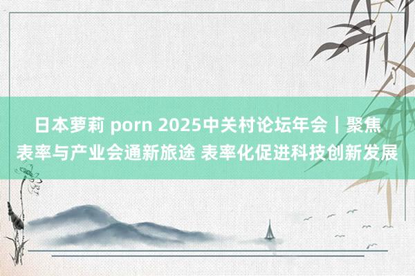 日本萝莉 porn 2025中关村论坛年会｜聚焦表率与产业会通新旅途 表率化促进科技创新发展