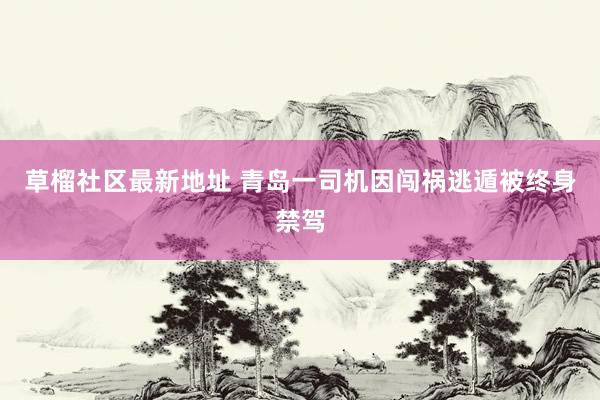 草榴社区最新地址 青岛一司机因闯祸逃遁被终身禁驾