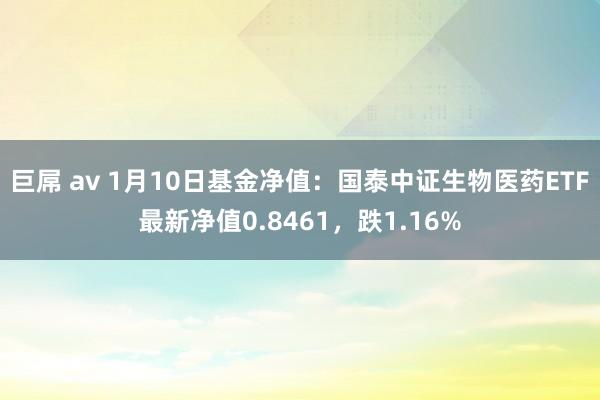 巨屌 av 1月10日基金净值：国泰中证生物医药ETF最新净值0.8461，跌1.16%