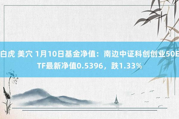 白虎 美穴 1月10日基金净值：南边中证科创创业50ETF最新净值0.5396，跌1.33%