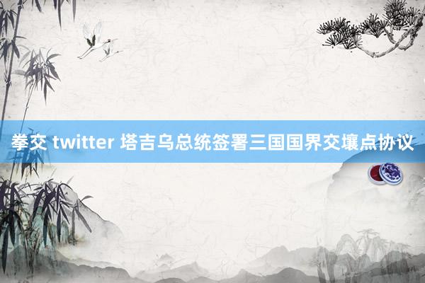 拳交 twitter 塔吉乌总统签署三国国界交壤点协议