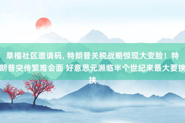 草榴社区邀请码, 特朗普关税战略惊现大变脸！特朗普突传繁难会面 好意思元濒临半个世纪来最大要挟