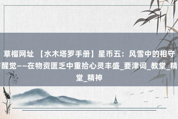 草榴网址 【水木塔罗手册】星币五：风雪中的相守与醒觉——在物资匮乏中重拾心灵丰盛_要津词_教堂_精神