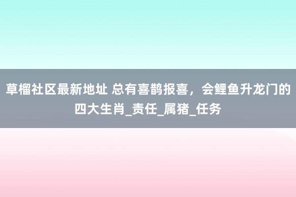 草榴社区最新地址 总有喜鹊报喜，会鲤鱼升龙门的四大生肖_责任_属猪_任务