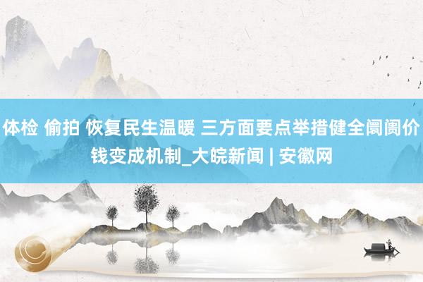 体检 偷拍 恢复民生温暖 三方面要点举措健全阛阓价钱变成机制_大皖新闻 | 安徽网